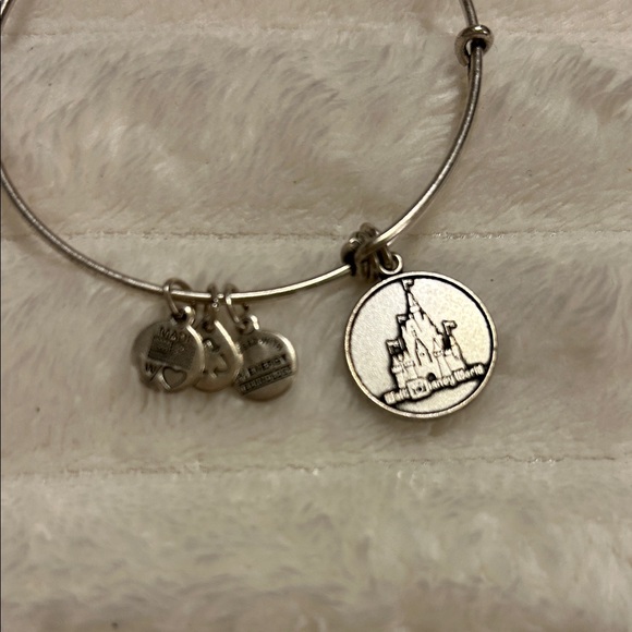 RARE Alex and Ani Walt Disney World Bracelet - Picture 2 of 13